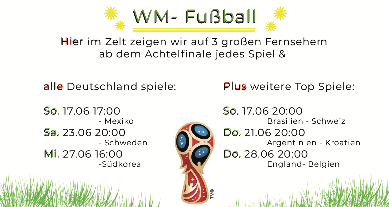 Fußball WM 2018 live