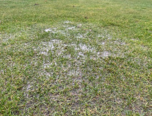 Der Platz ist wieder zu nass und bleibt leider am Wochenende gesperrt