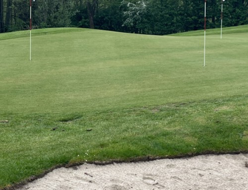 Neues Pitching-Grün ab sofort nutzbar